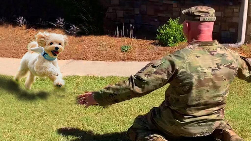 Dog Reunited With Soldier After 8 Months