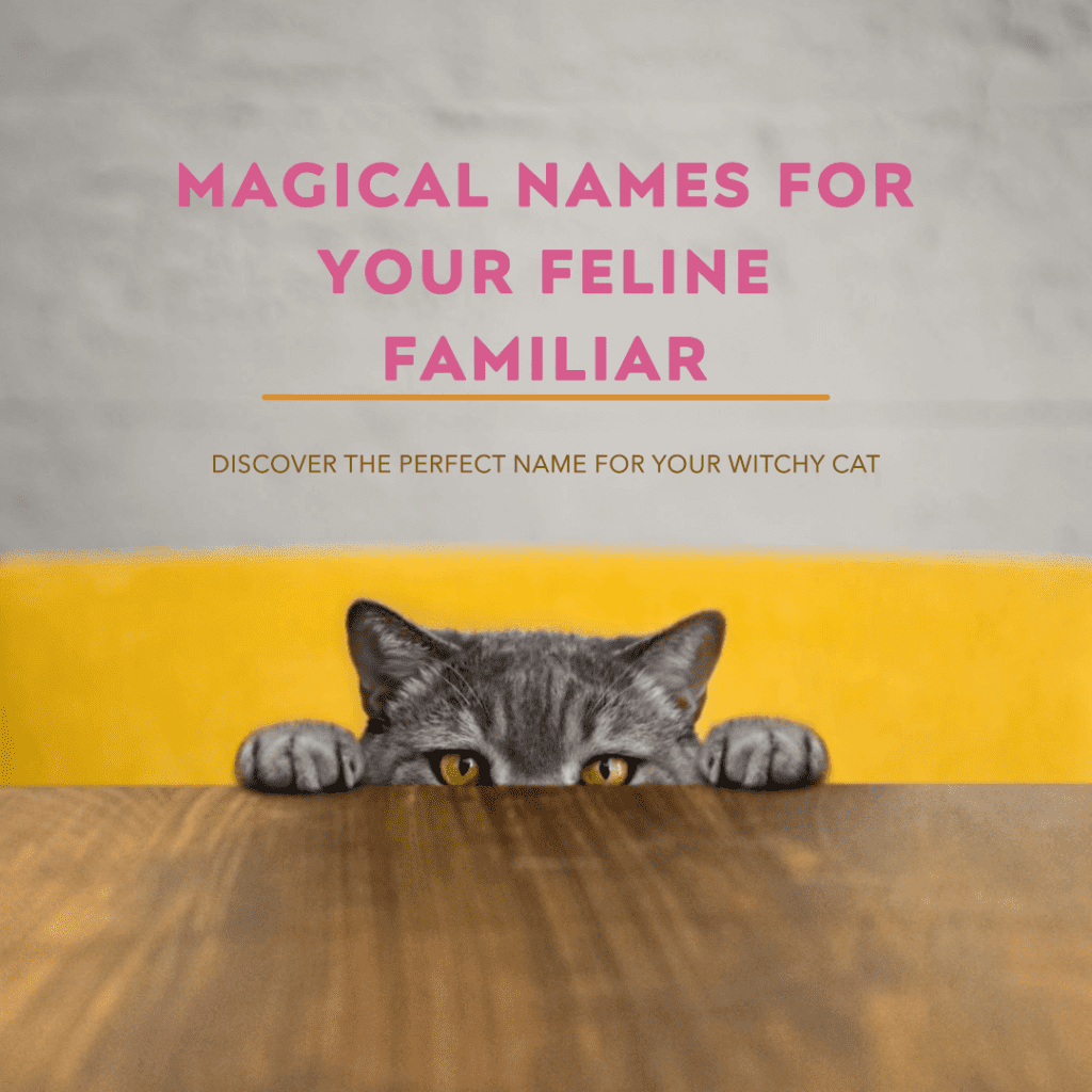 Top Witchy Cat Names