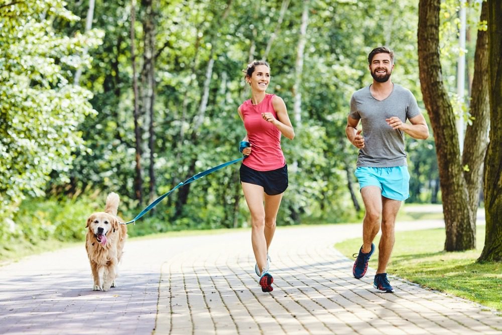 At What Age Can You Jog With Your Puppy?