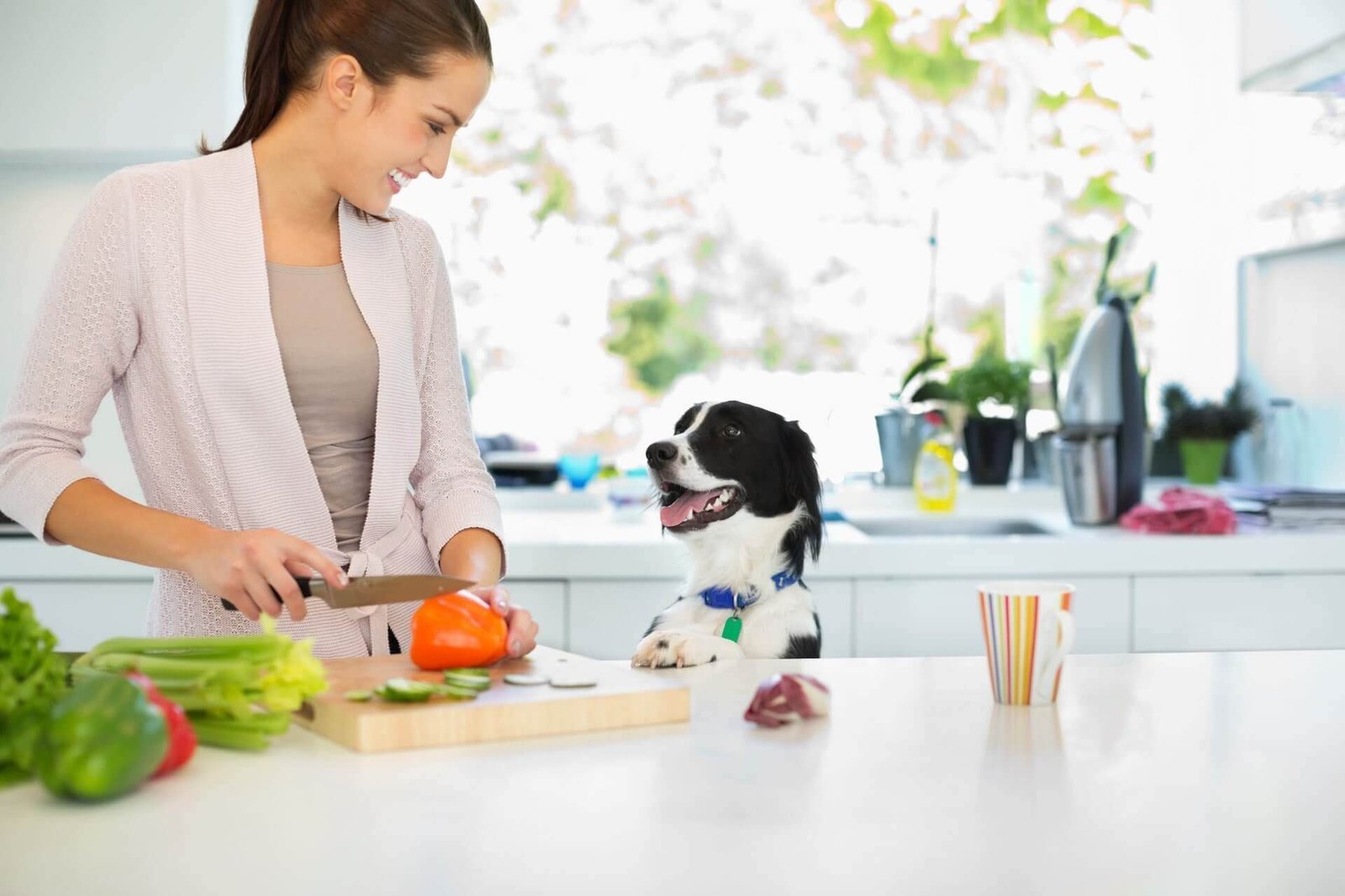 Benefits of Different Vegetables for Dogs