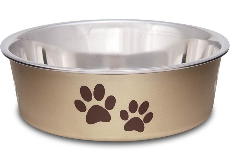 Best Bowls for Chewers