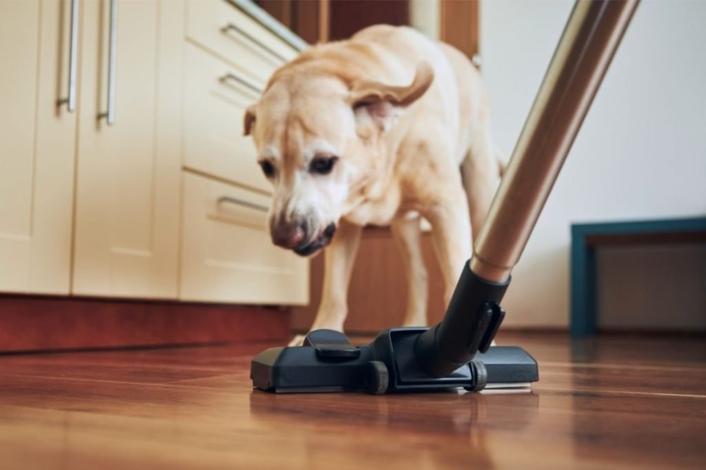 Consider using a pet hair vacuum or specialized tools