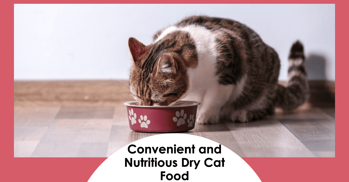 Dry Cat Food Provides Convenience