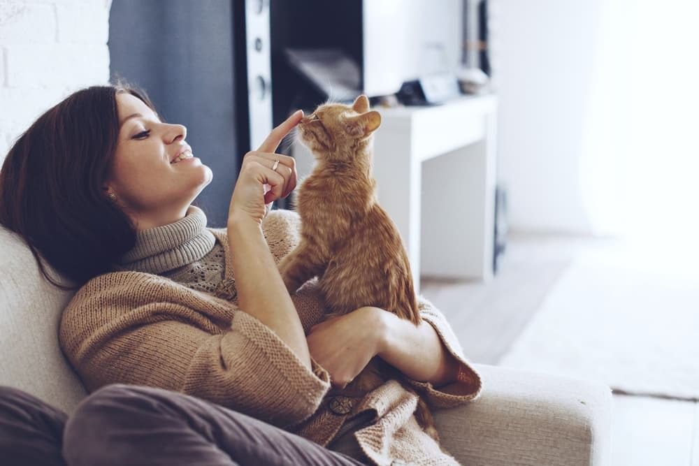 Creating a Bond with Your Cat