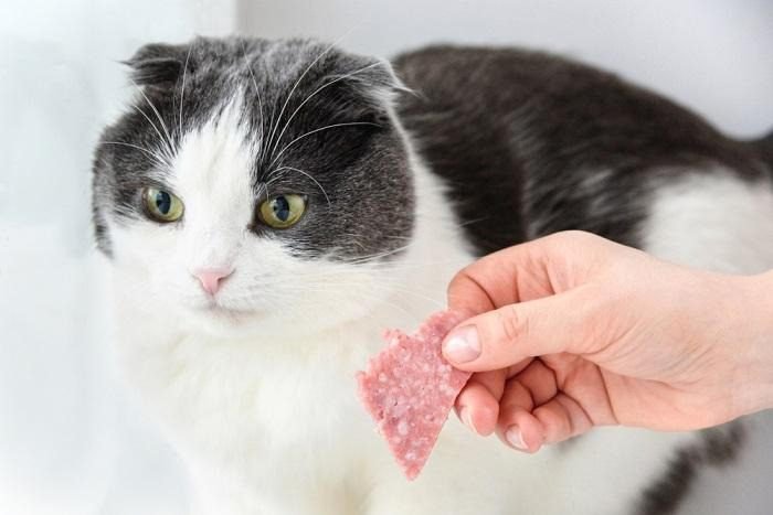 Dangers of Feeding Cats Salami
