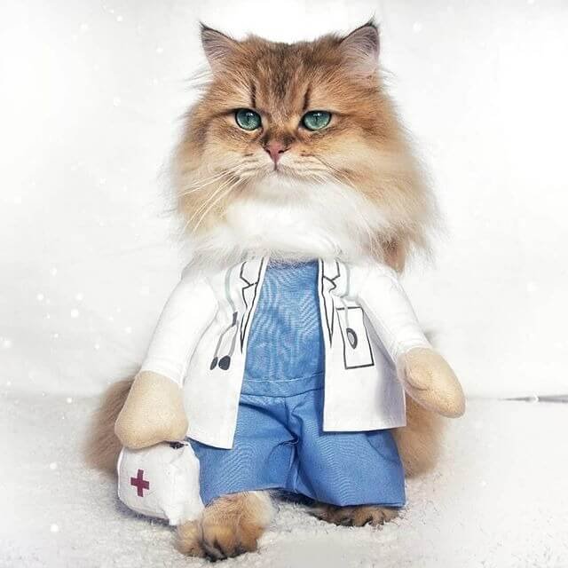 Doctor Cat costume halloween