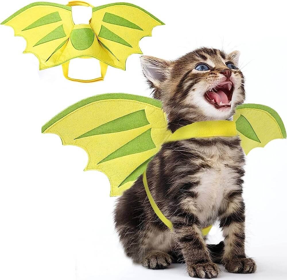 Dragon Kitty Cat costume halloween