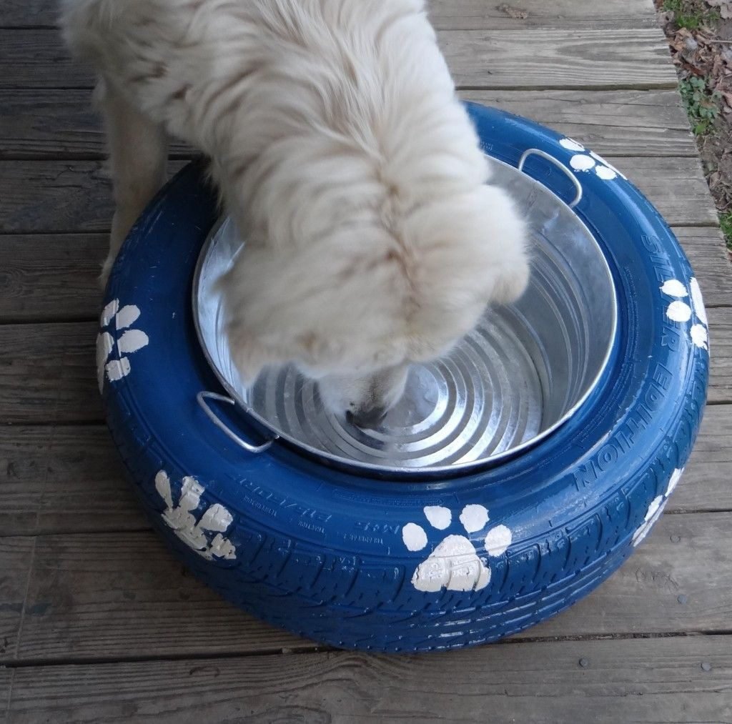 Features to Consider Spill-Proof Dog Bowls