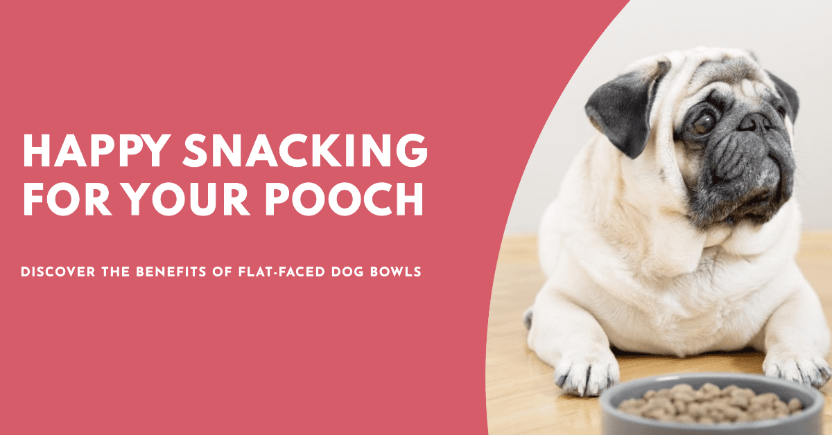 Benefits of Flat-Faced Dog Bowls