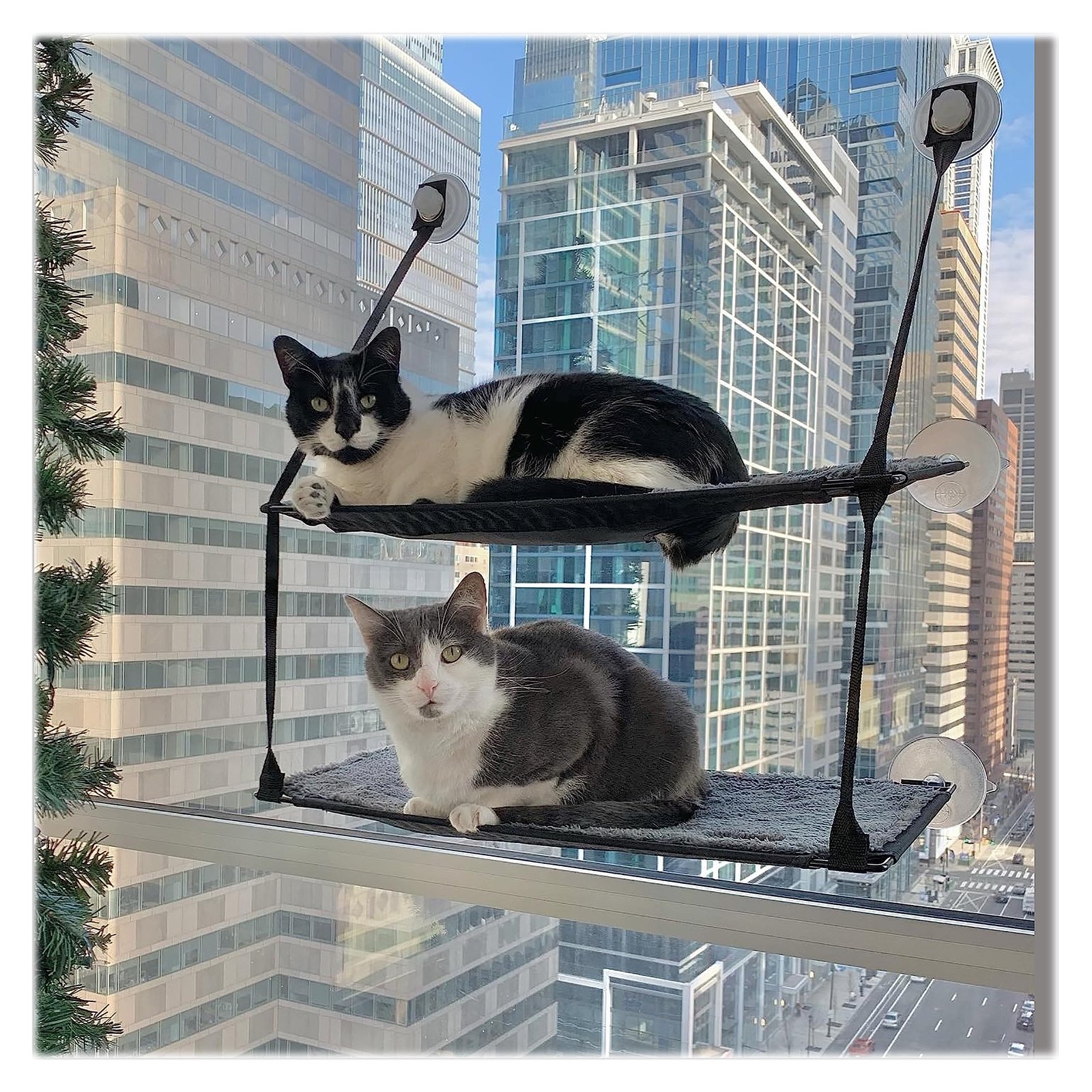 K&H Pet Products Double Stack EZ Window Mount Kitty Sill
