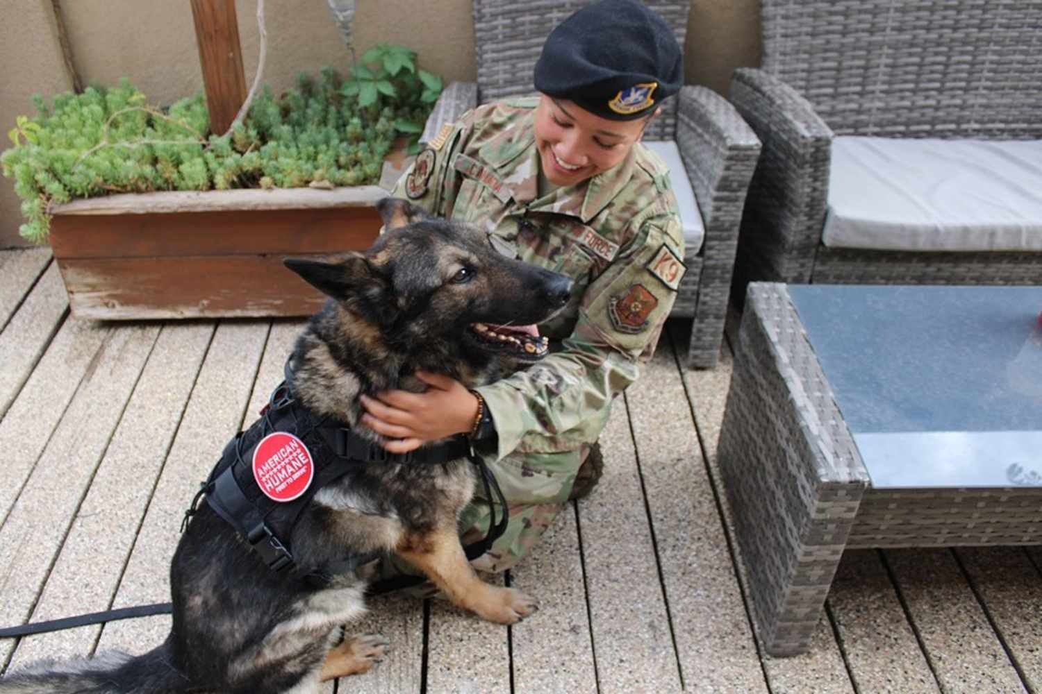 Military Dog Reunited with His Handler