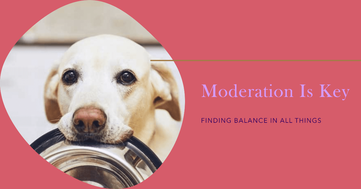 The Importance of Moderation