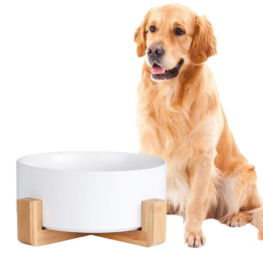No-Spill Ceramic Bowl for dog
