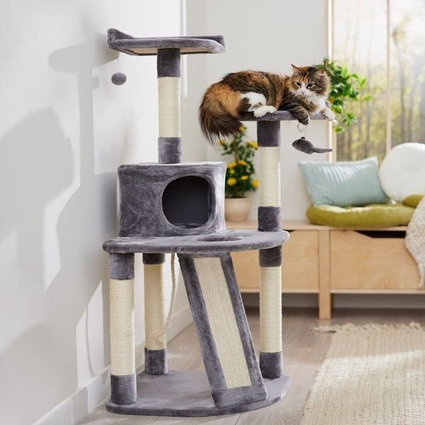 Other Recommended Cat Trees for Senior Cats