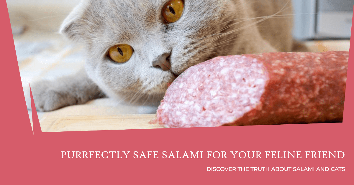 Is Salami Safe for Cats?