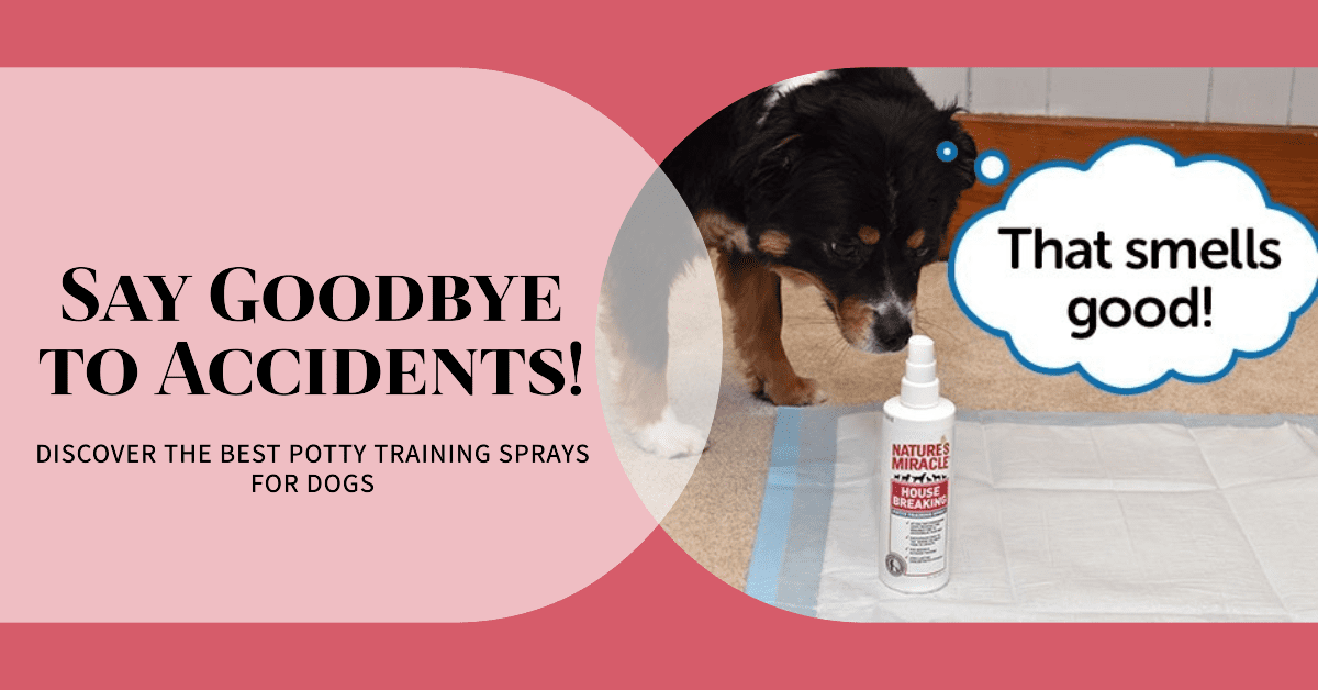 The Best Potty Training Sprays for Dogs
