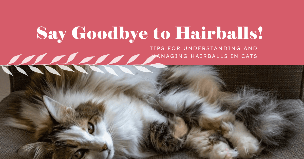 Understanding and Managing Hairballs in Cats