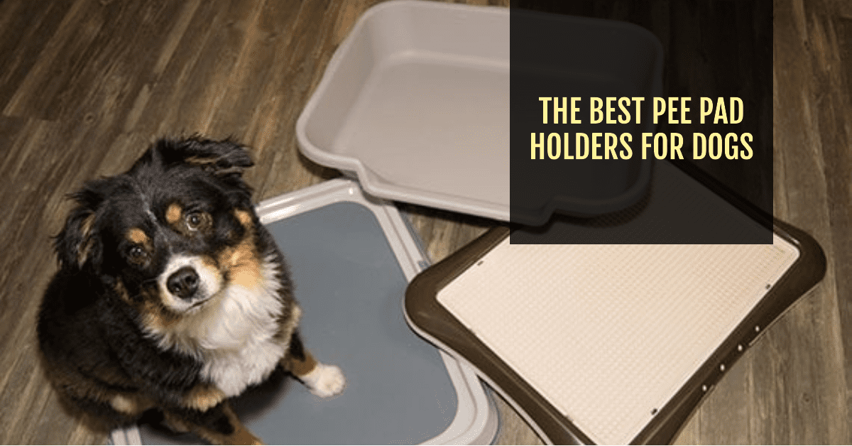 The Best Pee Pad Holders for Dogs