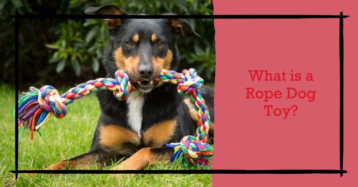 What is a Rope Dog Toy?