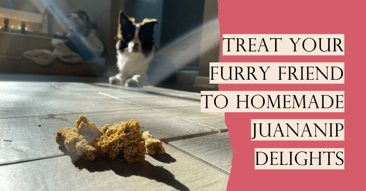 Delicious Homemade Juananip Dog Treats