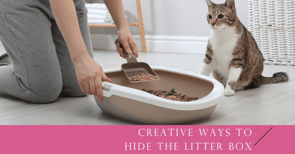 Creative Ways to Hide the Litter Box