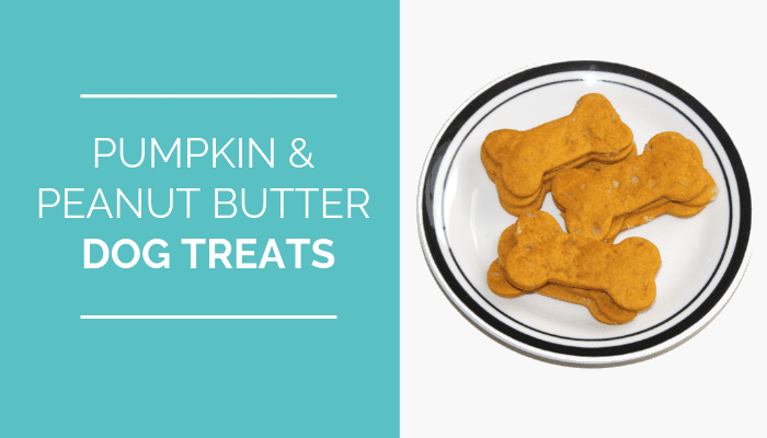Benefits of Pumpkin and Peanut Butter Treats