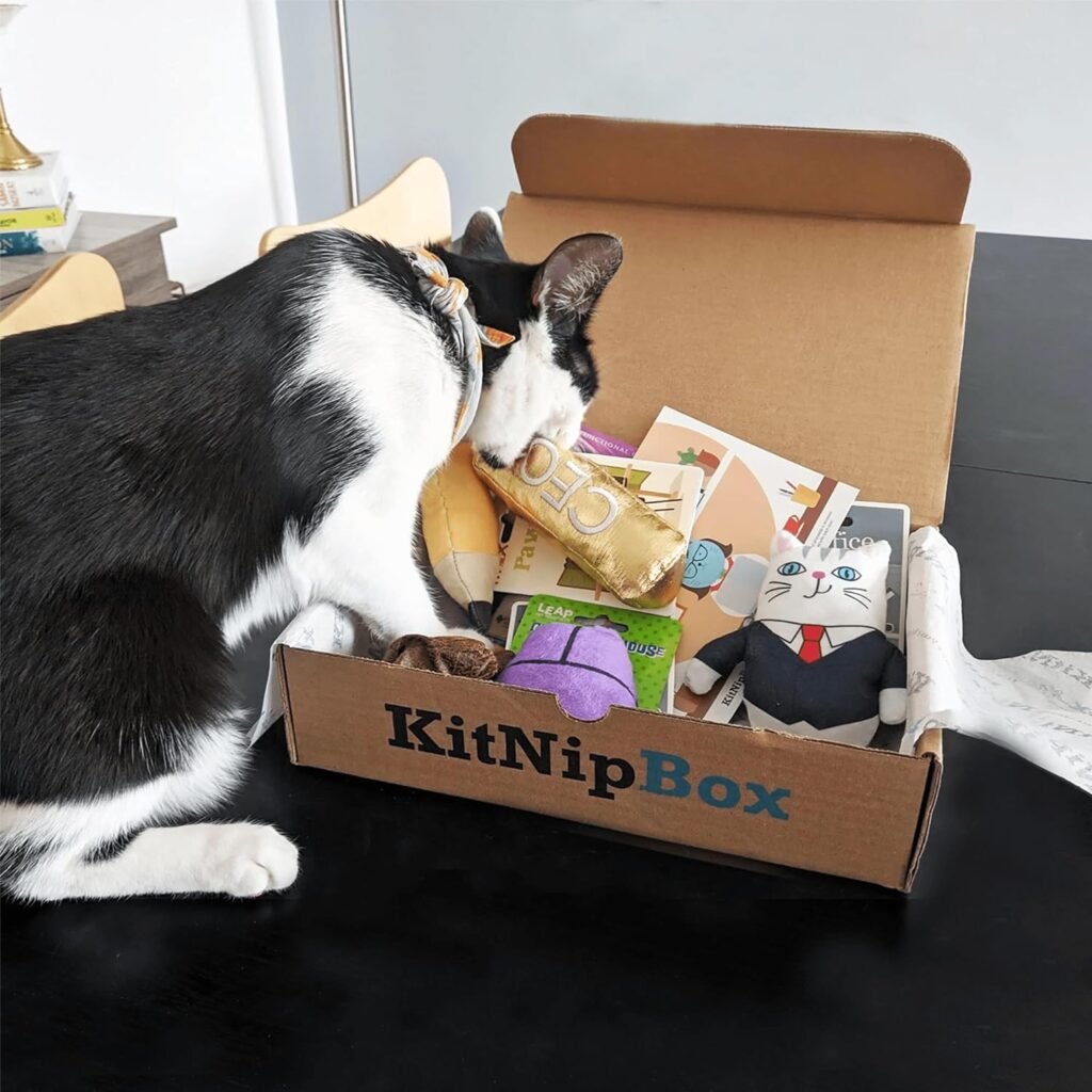 KitNipBox | Happy Cat Dietary Box | Monthly Cat Subscription Boxes Filled with Cat Toys, Kitten Toys, North American Grown Catnip Toys, and Cat Treats