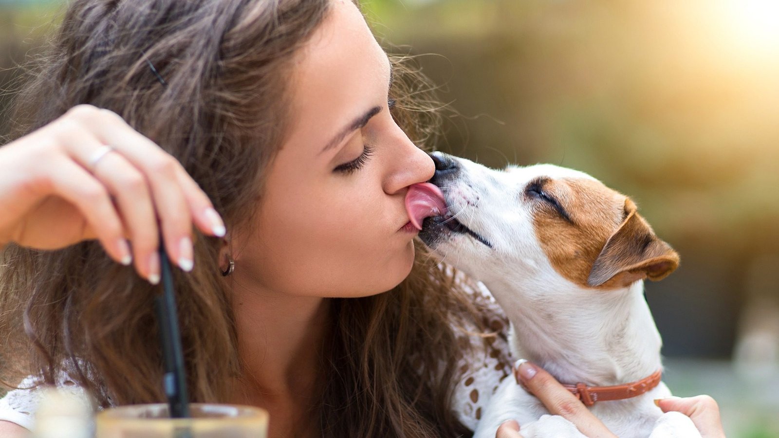 limit direct contact with a dog's mouth to minimize the risk of potential infections