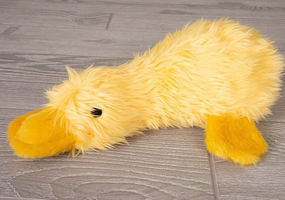 The 7 Best Plush Dog Toys for Soft, Friendly Play: Duckworth Duck