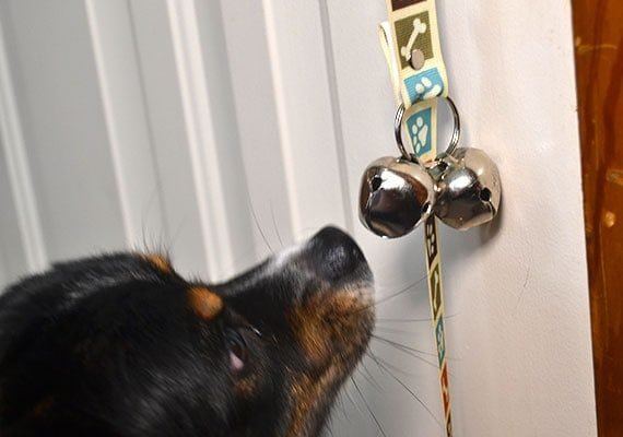 Benefits and Drawbacks of Dog Doorbells for Potty Training