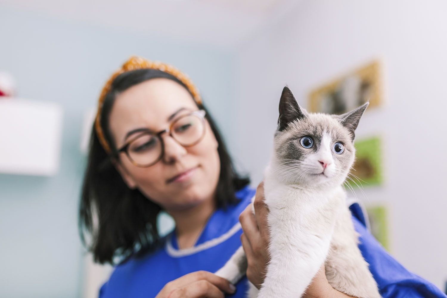 Frequency of Vet Visits for Cats