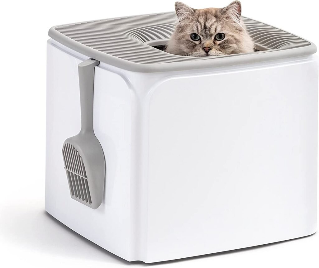 Factors to Consider when Choosing a Top-Entry Cat Litter Box