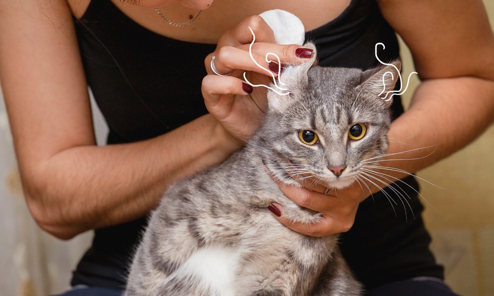 treatment options to address the underlying issue causing the head cat shaking.