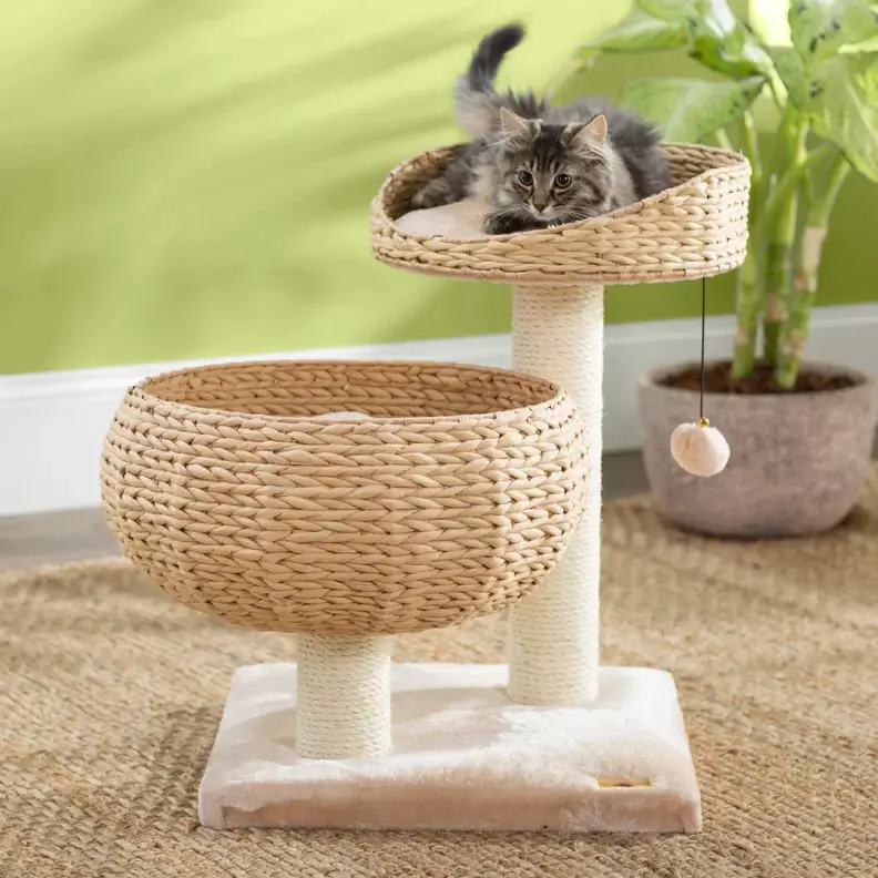 How to Choose the Right Cat Condo for Your Feline Friend