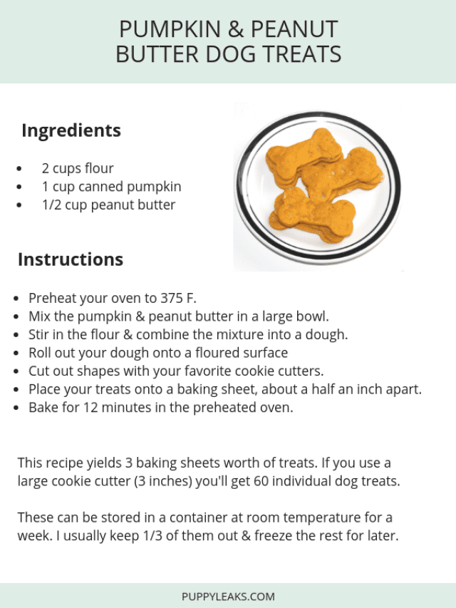 Easy Pumpkin & Peanut Butter Dog Treats - Puppy Leaks