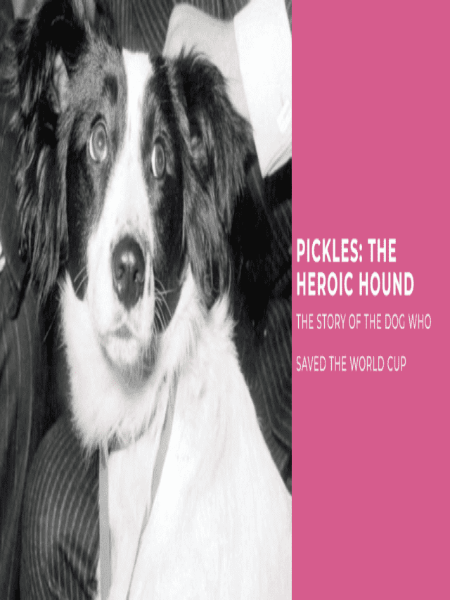 Pickles: The Dog Who Saved the World Cup